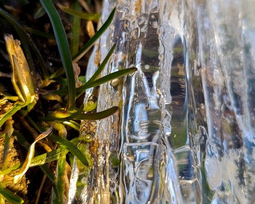 Close up of water being poured into a clear glass in nature